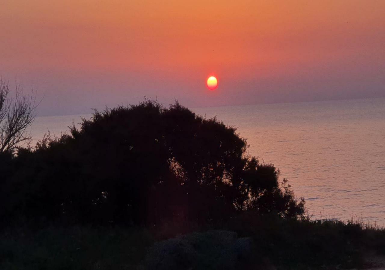 "Sa Domo De Sos Aranzos" Βίλα Santa Maria la Palma Εξωτερικό φωτογραφία