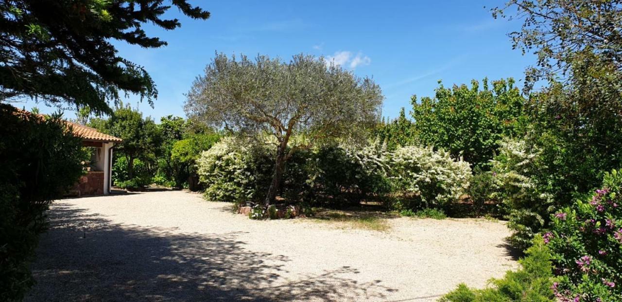 "Sa Domo De Sos Aranzos" Βίλα Santa Maria la Palma Εξωτερικό φωτογραφία